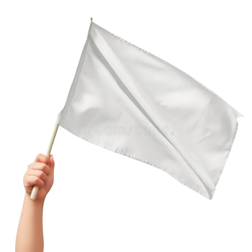 Plan Rescate Semana 2 (Anti-abandono)